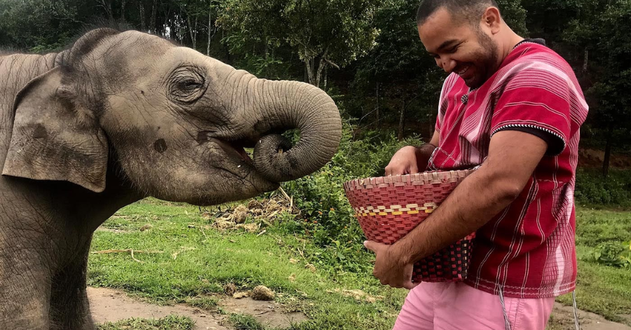 21 Things To Do In Chiang Mai: What To Do, See, Eat 2024