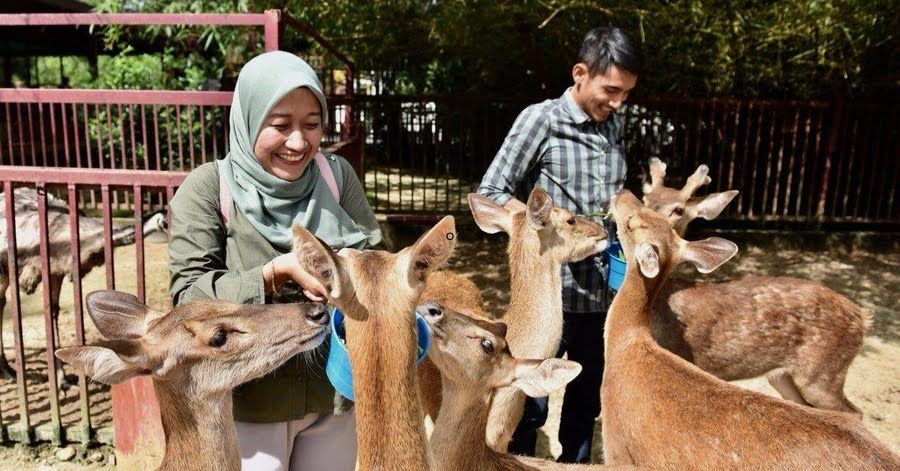 15 Things To Do In Langkawi 2024 (With Prices)