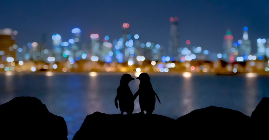 Best Things To Do In Melbourne, Australia 2024 (With Hidden Gems)