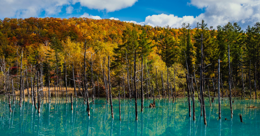 Best Places to View Autumn in Japan: Hokkaido