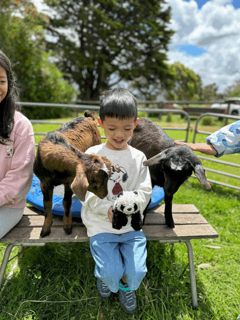 Things to Do in Melbourne: Great Ocean Road + Bellevue Farmstay