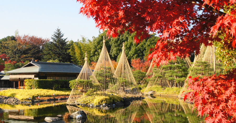 Best Things To Do In Nagoya City, Japan (Hidden Gems Included) 2024