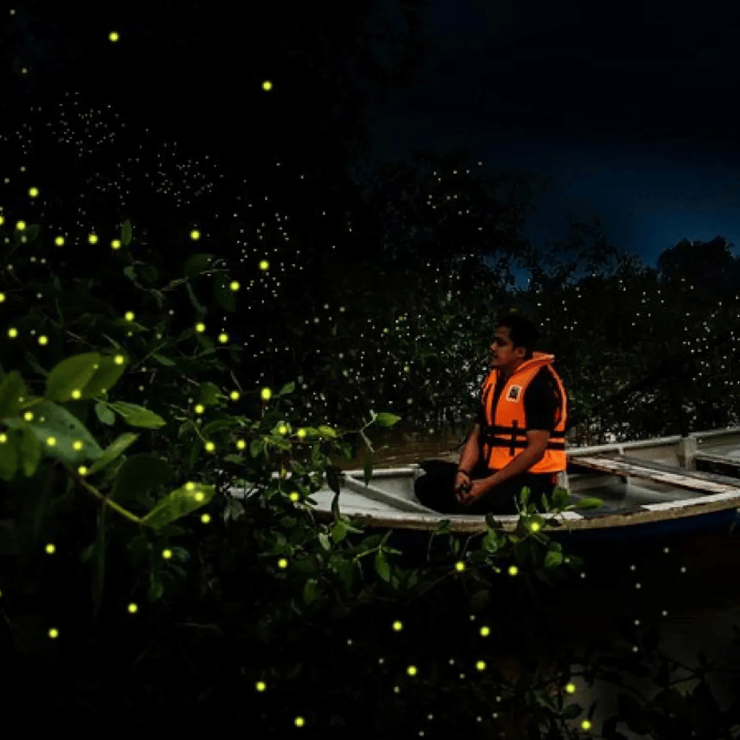 Man in an orange life vest sitting in a small boat surrounded by fireflies in dark mangroves