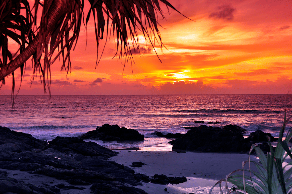A fiery orange and purple sunset over a rocky Phuket beach framed by a palm frond