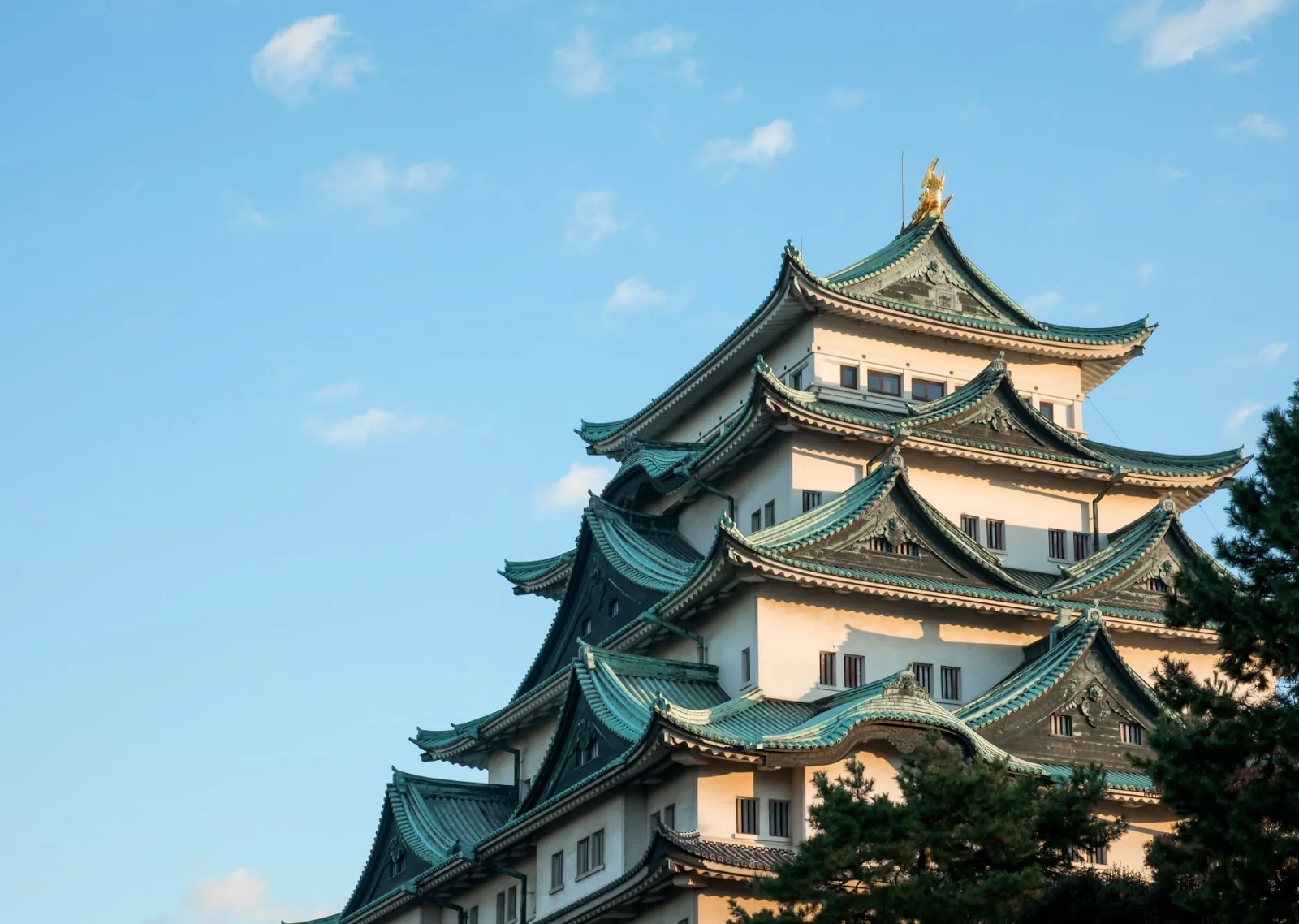 Things To Do In Nagoya City - Nagoya Castle