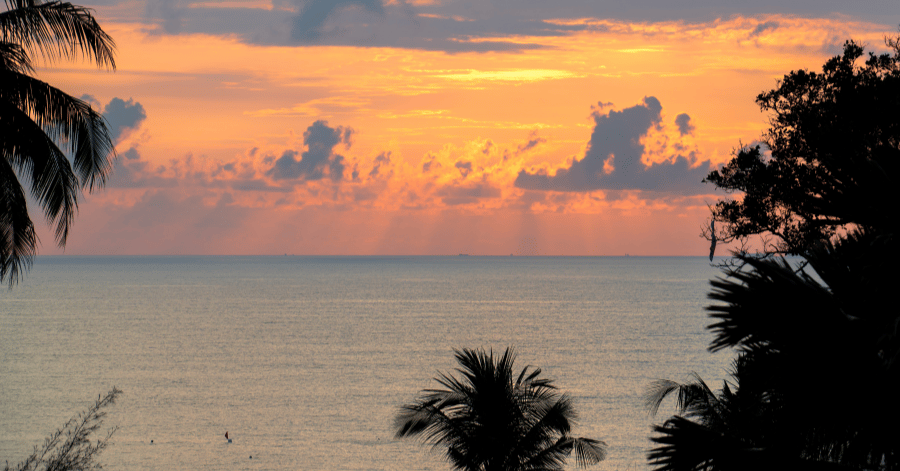 Sun rising over the sea behind palm silhouettes with an orange and pink sky at Desaru Coast