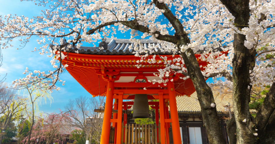 Japan ATM Withdrawal Guide: Fees, Locations, Exchange Rates 2024
