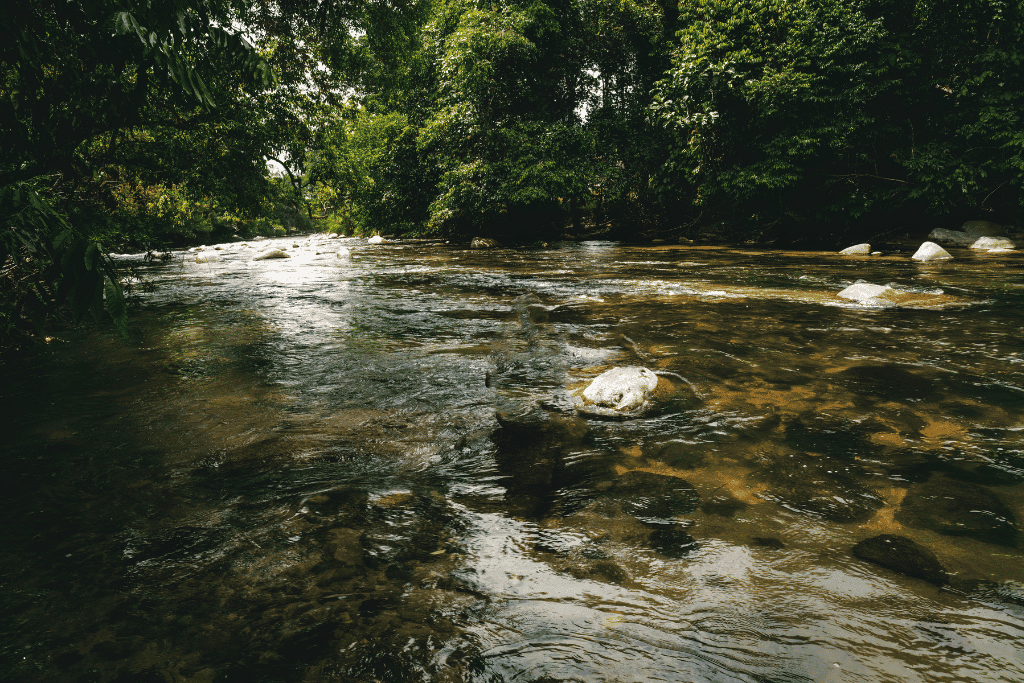 A clear, boulder-strewn jungle river running through dense forest near Gopeng