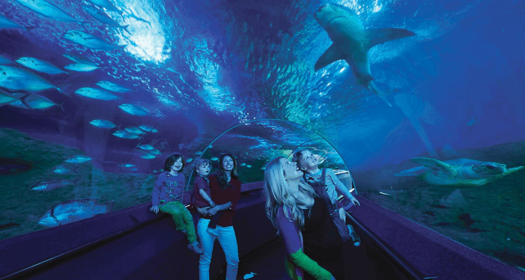 Things To Do In Perth: AQWA