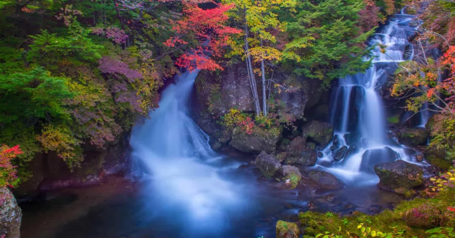 10 Best Day Trips From Tokyo (2025 Guide)