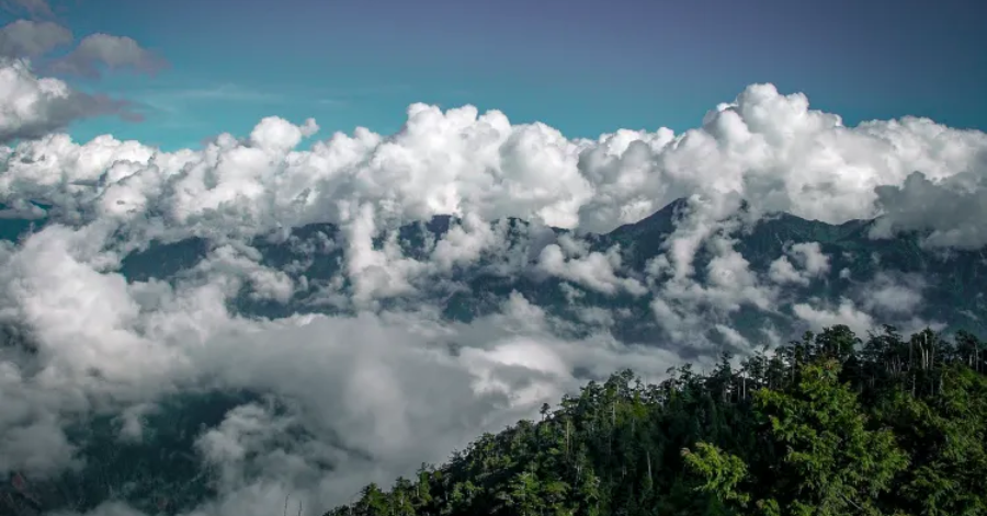15 Fun Things To Do In Taichung City, Taiwan (2025 Guide)
