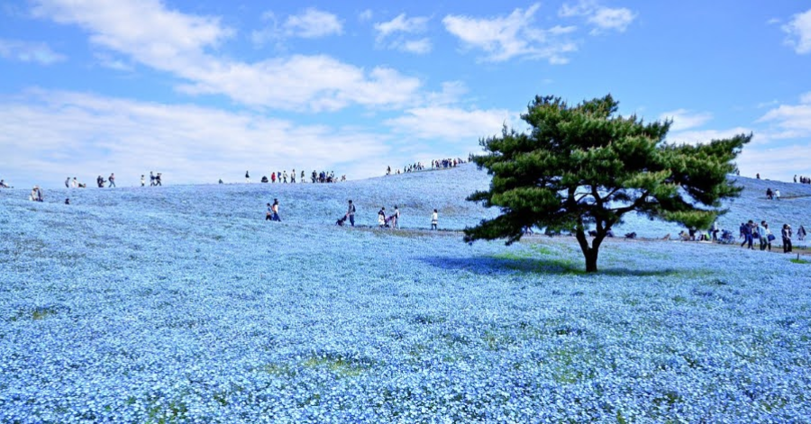 10 Best Day Trips From Tokyo (2025 Guide)