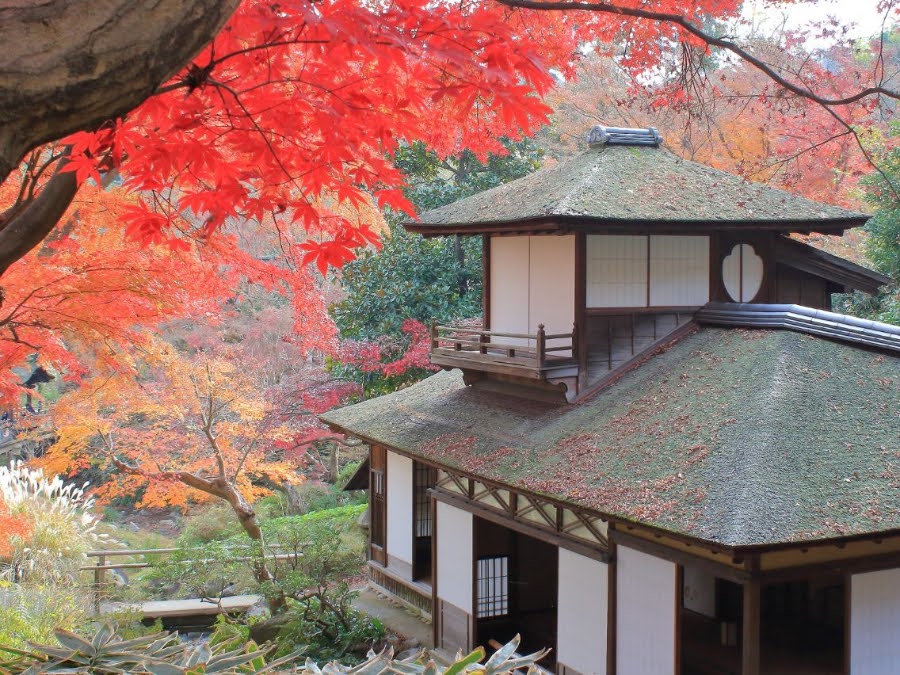 10 Best Day Trips From Tokyo (2025 Guide)