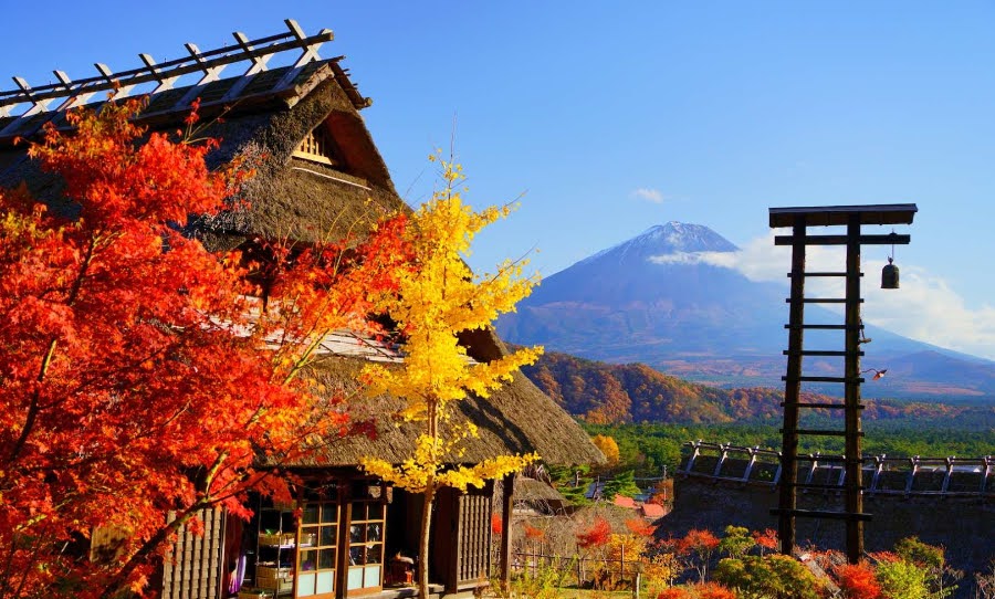 10 Best Day Trips From Tokyo (2025 Guide)