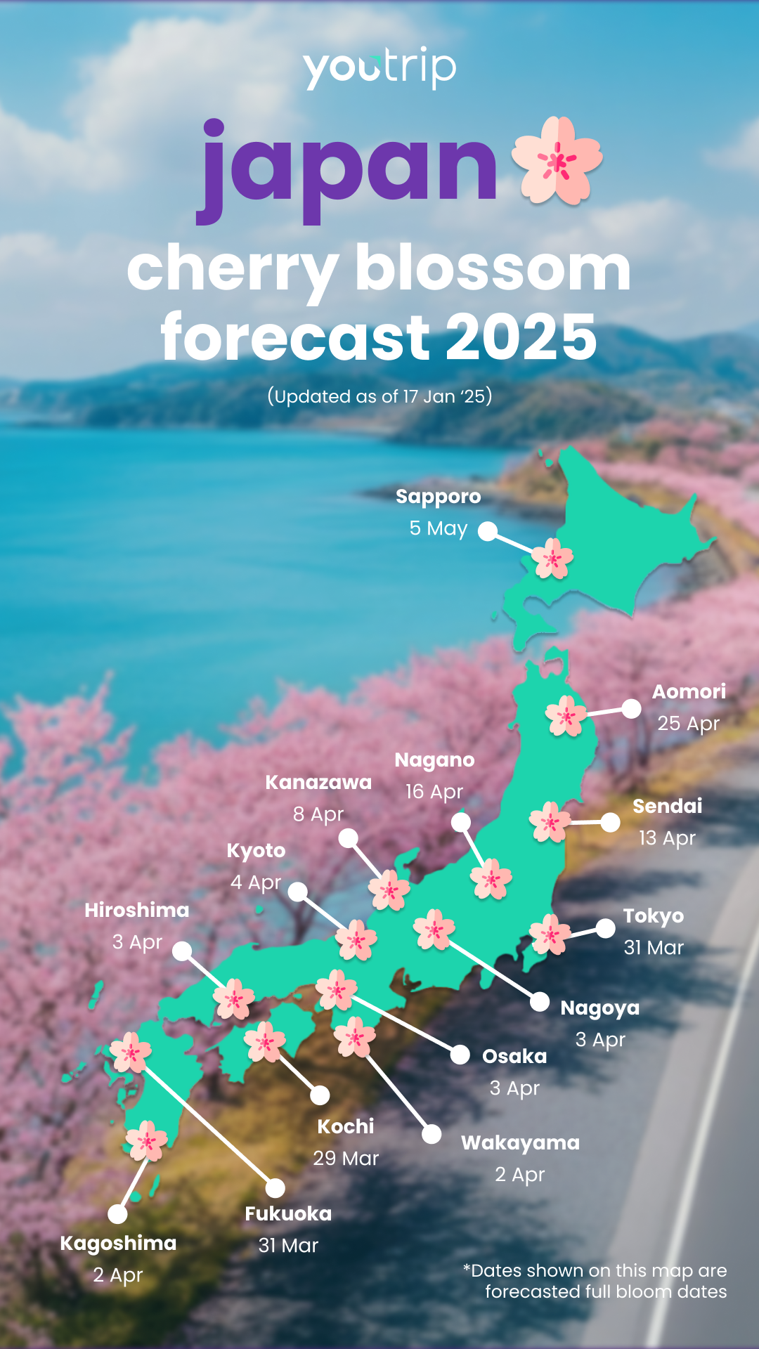 Cherry Blossom Season Japan 2025 Sakura Forecast YouTrip Singapore