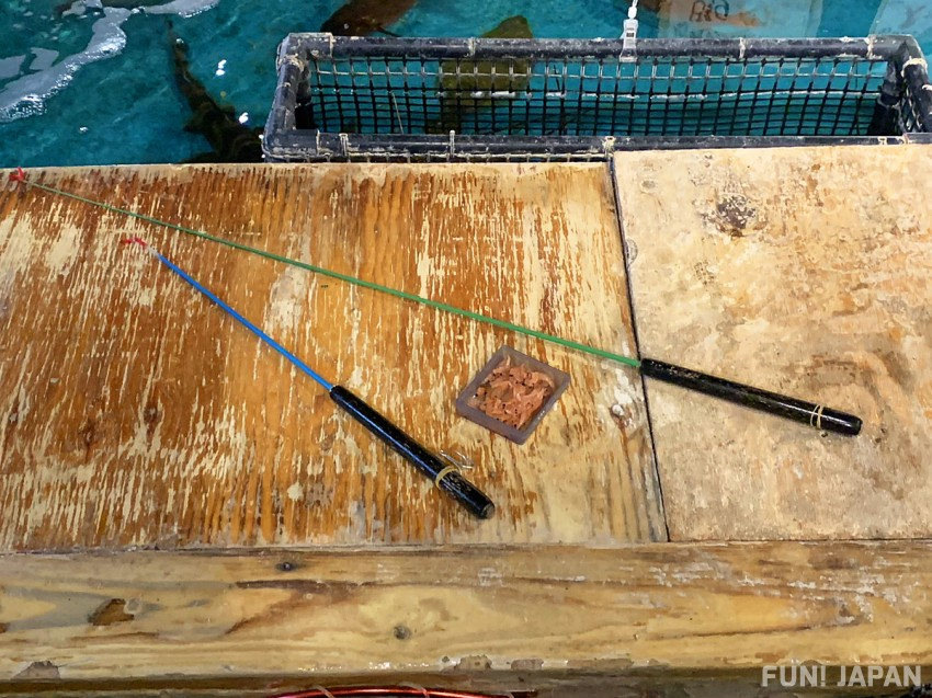 Zauo Fishing Restaurant: Fish For Your Meal In Tokyo (2025)