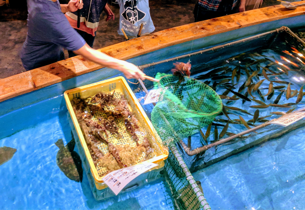 Zauo Fishing Restaurant: Fish For Your Meal In Tokyo (2025)