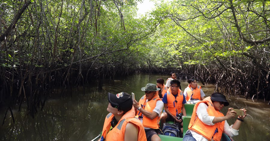 Things To Do In Bintan - Mangrove river tour in Sebung River