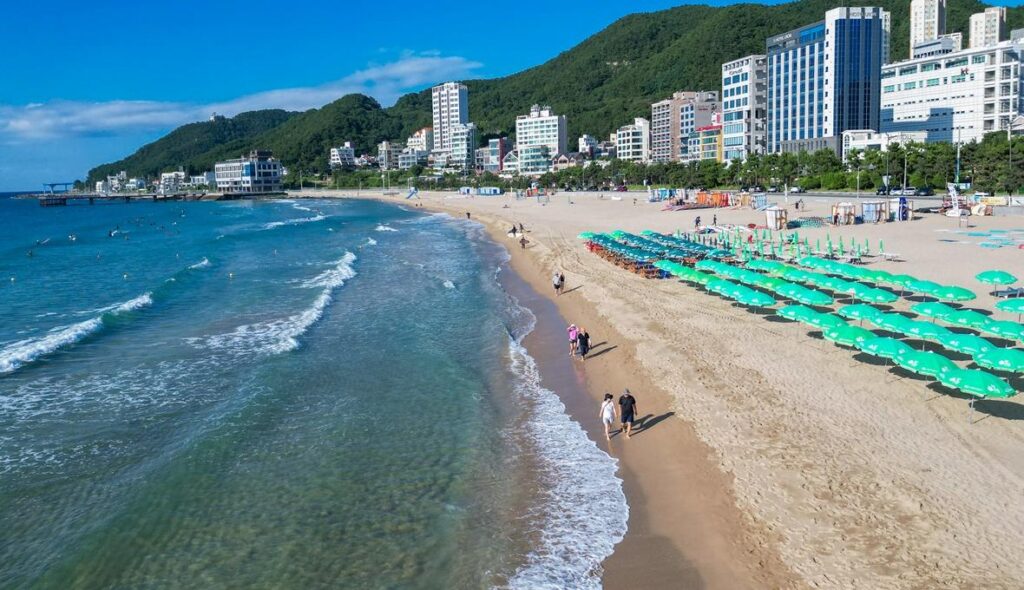 Sandy Songjeong Beach with green umbrellas and surfers in the water