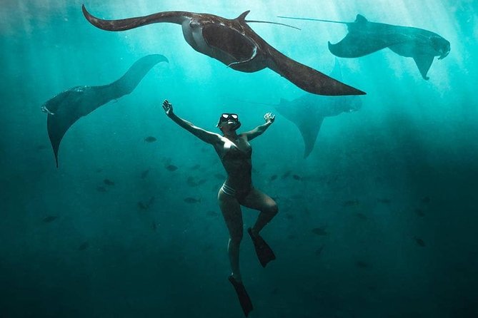 Freediver swimming among several manta rays in blue water off Nusa Penida