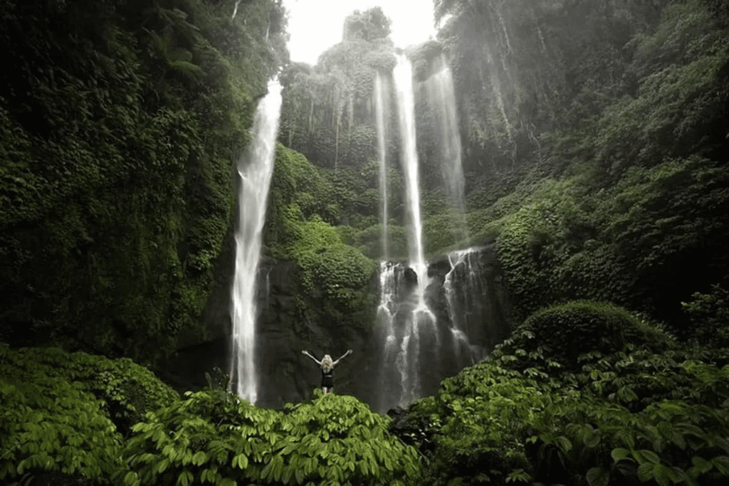 Tall twin jungle waterfalls plunging into a green gorge at Sekumpul, Bali