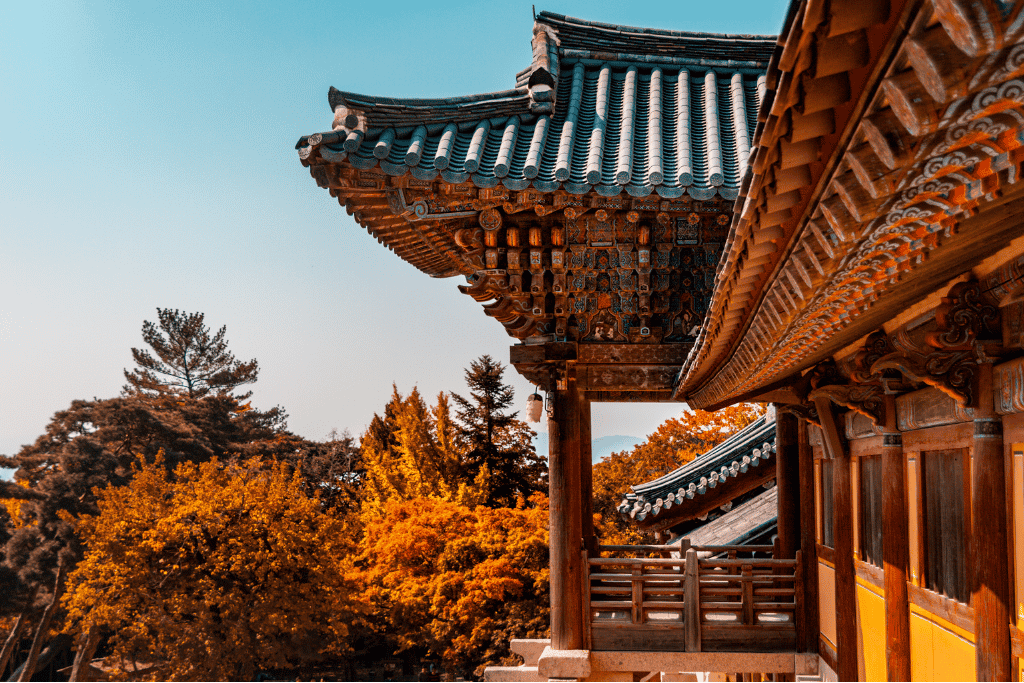 Traditional hanok temple roof framed by autumn foliage in Gyeongju