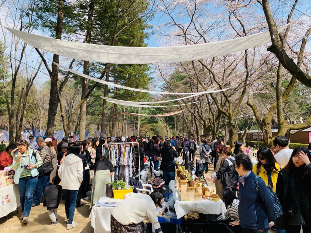 2025 Cherry Blossom Korea Guide: Forecasts, Festivals & Best Spots