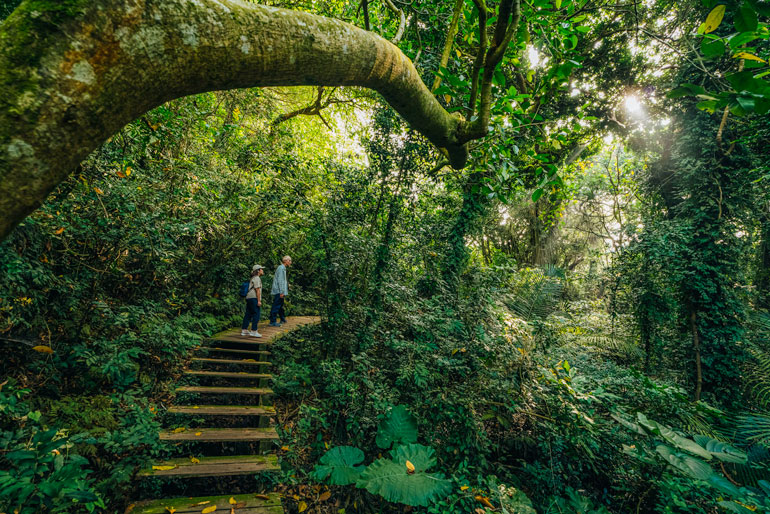15 Best Things To Do In Kaohsiung, Taiwan (2025) - shoushan (monkey mountain)