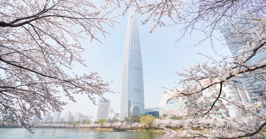 2025 Cherry Blossom Korea Guide: Forecasts, Festivals & Best Spots