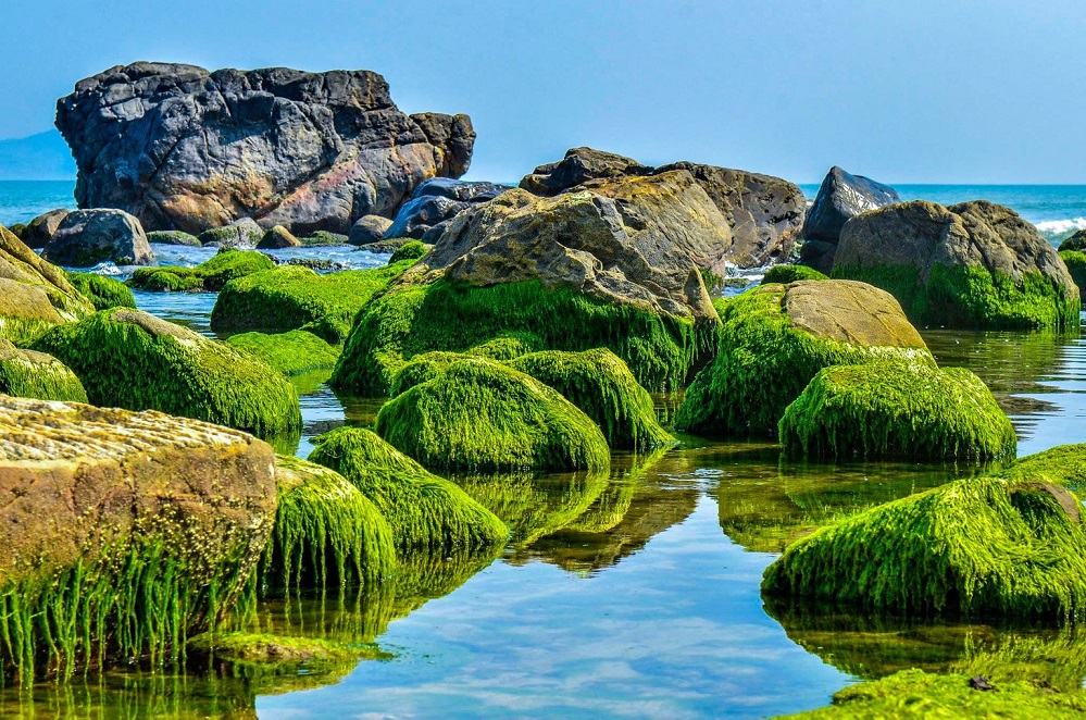 things to do in da nang: nam o beach