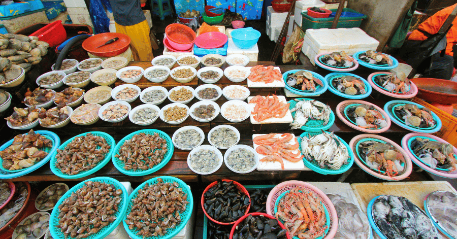 Rows of seafood and side dishes in bowls at a Busan market stall