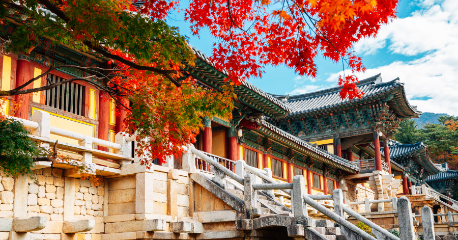 South Korea ATM Withdrawal Guide: Fees, Locations, Exchange Rates (2025)