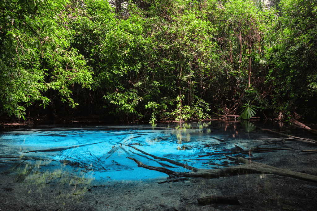 Vivid blue spring water surrounded by jungle at the Blue Pool, Krabi