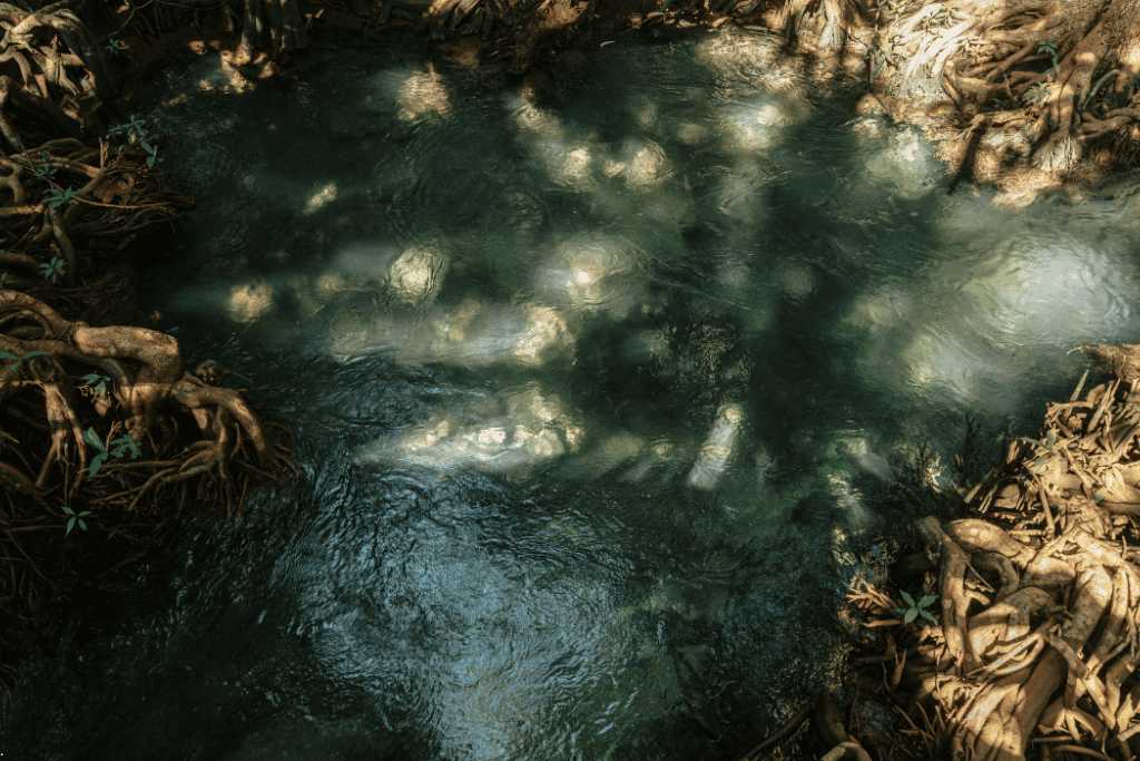 Sunlight on a clear jungle stream among tree roots near the Krabi Hot Springs