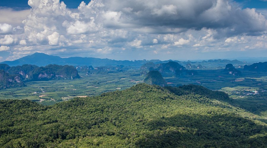 Panoramic view over Krabi's forested hills and limestone karsts from a hilltop