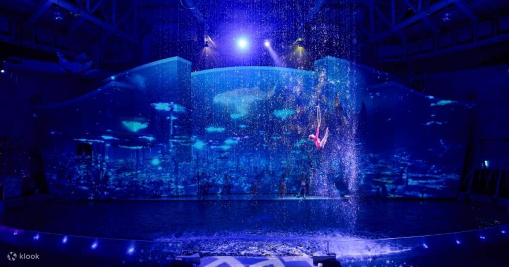 Aerial performer above a giant illuminated tank during the show at Aquaplanet Jeju aquarium