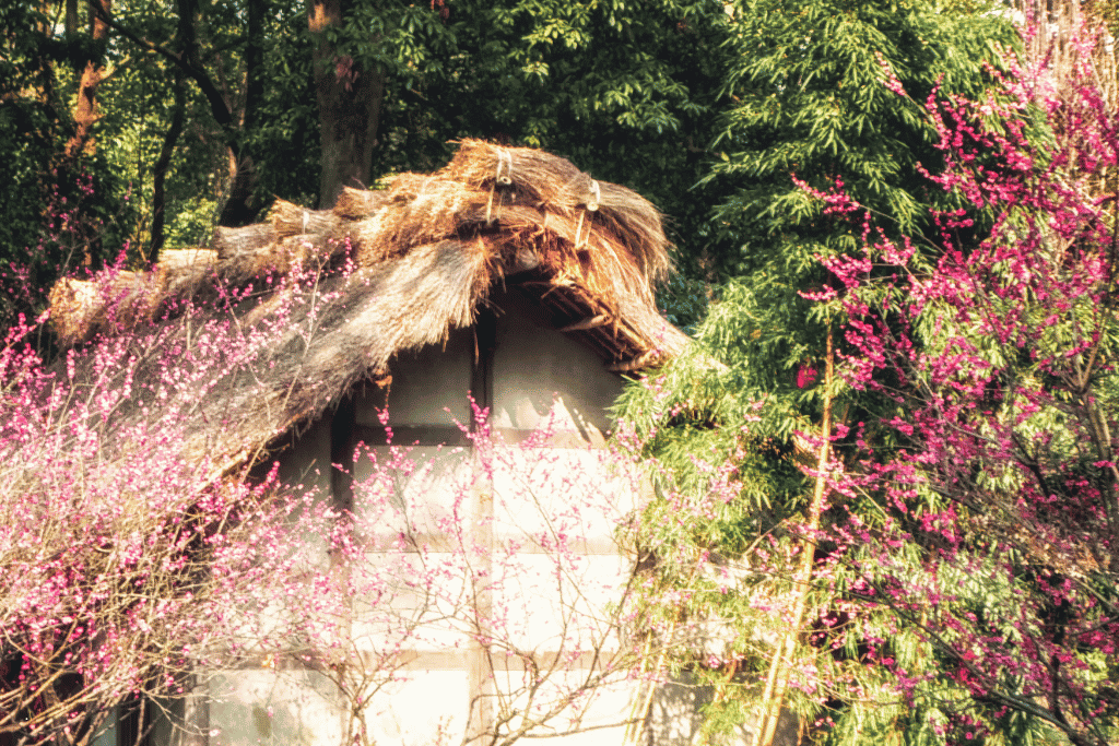 Bamboo-lined paths and traditional halls at Du Fu Thatched Cottage, Chengdu