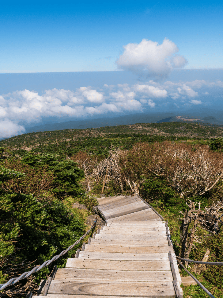 Wooden staircase trail descending a Hallasan ridge above a sea of clouds, Jeju