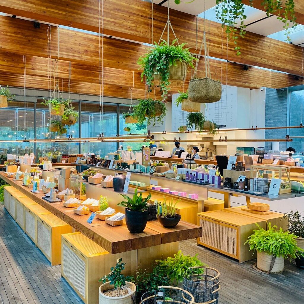 Bright interior of the Innisfree Jeju House flagship store with hanging plants and product displays