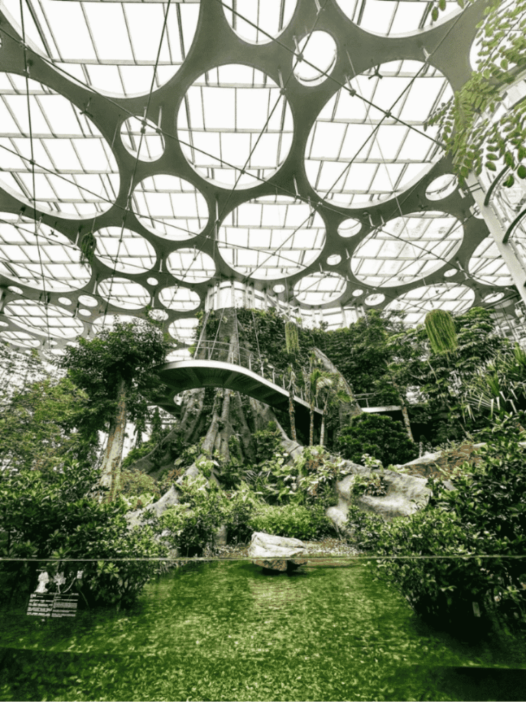 Interior of a botanical glasshouse with a honeycomb roof and lush greenery in Shanghai