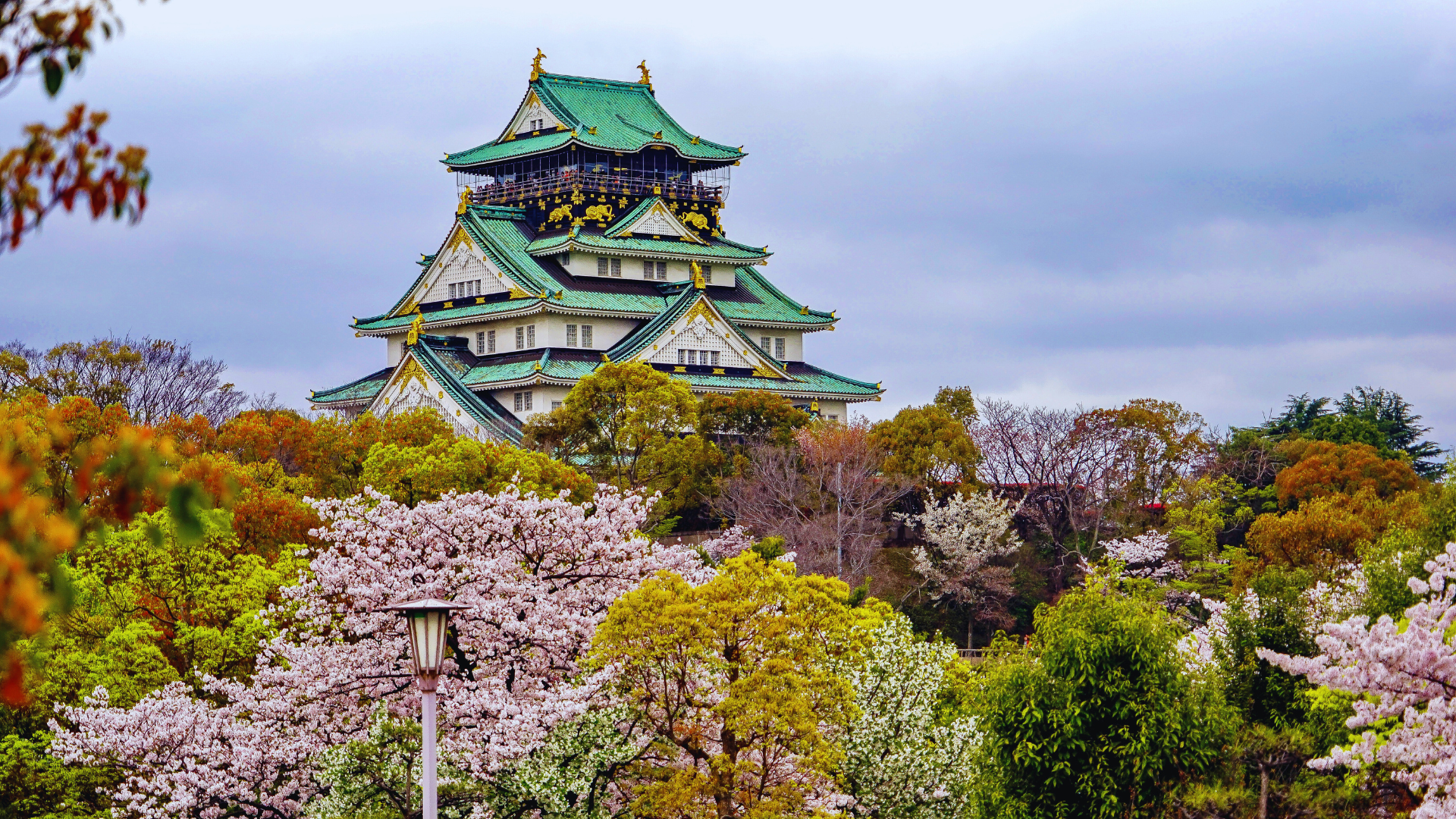 can youtrip be used in japan