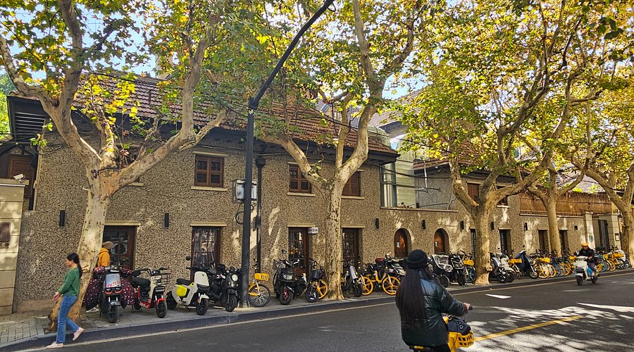 A plane-tree-lined Shanghai street with heritage houses and parked bikes in the former French Concession