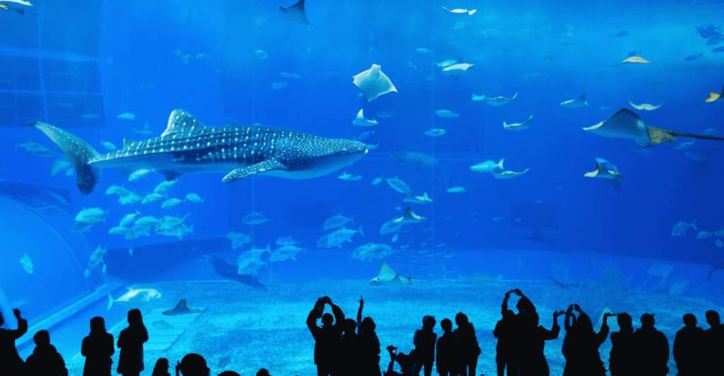 Lotte World Seoul - Lotte World Aquarium