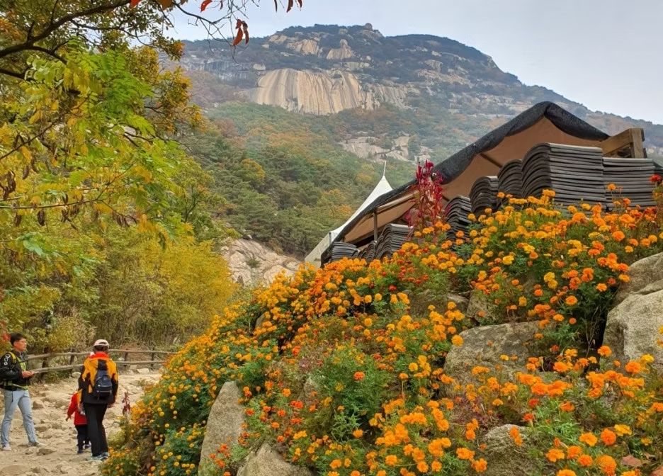 Things To Do In Seoul - Bukhansan National Park