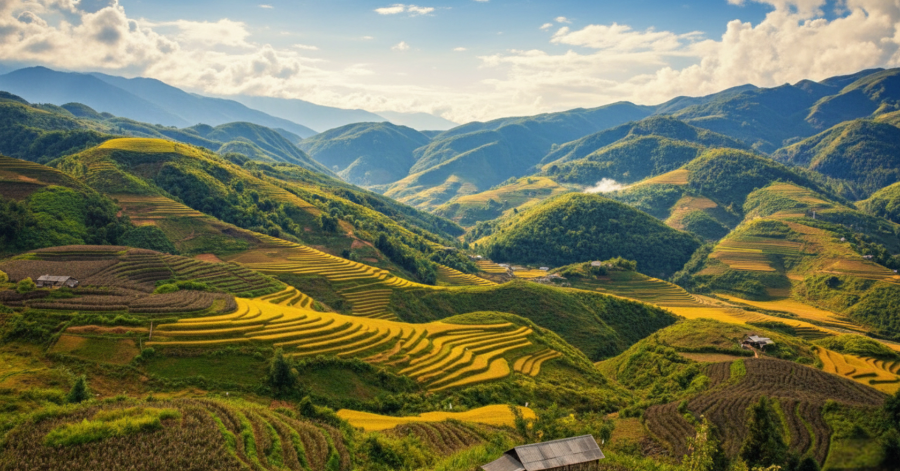 Vietnam ATM Withdrawal Guide: Fees, Locations, Exchange Rates (2026)