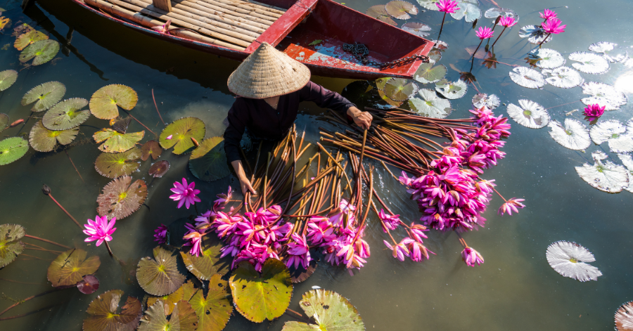 Vietnam ATM Withdrawal Guide: Fees, Locations, Exchange Rates (2025)