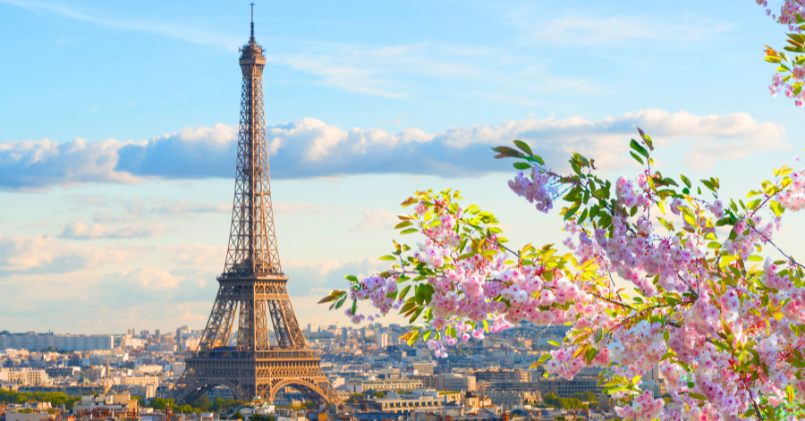 Top 17 Paris Hotels for Every Budget 2025