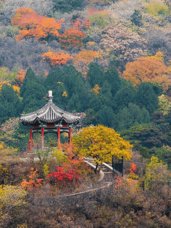 things to do in beijing: fragrant hills