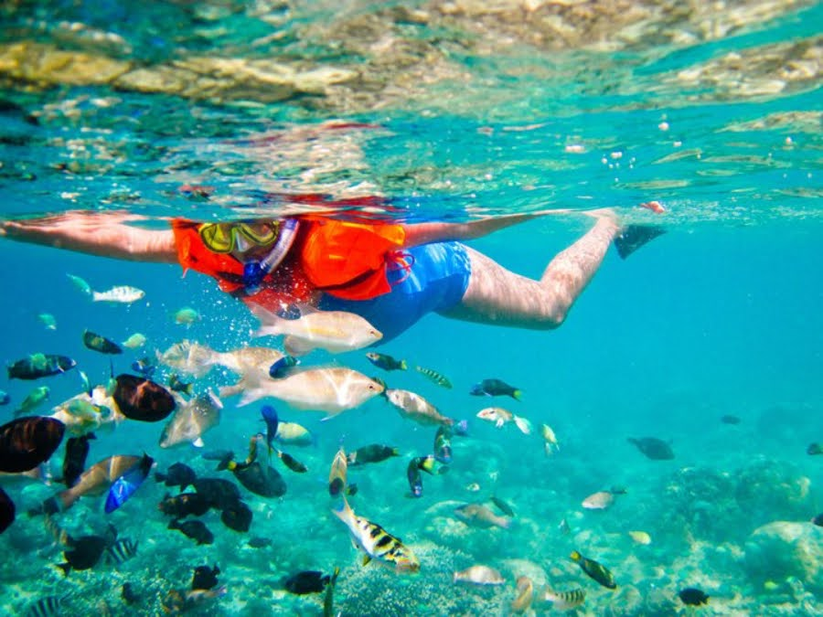 Labuan Bajo Travel Guide - Diving at Manta Point