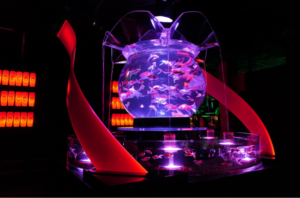 Things To Do In Tokyo - Art Aquarium Museum Ginza